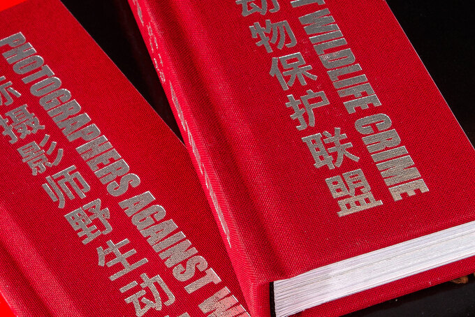 Heissfolienprägung in Silber