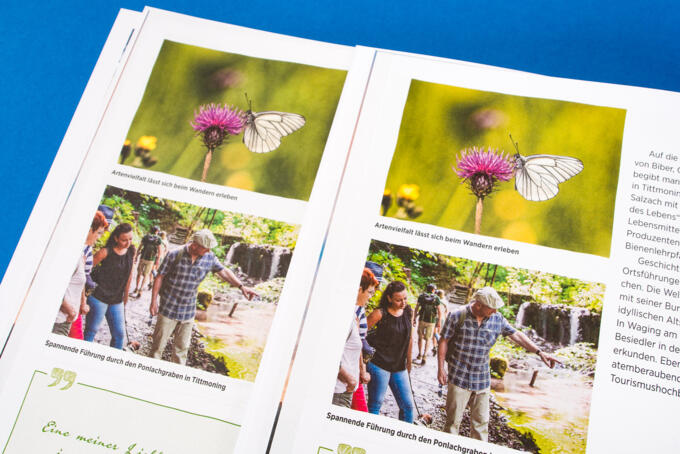 Druck auf Naturpapier Maxi Offset